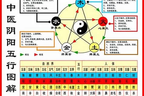 怎麼知道自己五行|教你快速查自己的五行属性，入门篇（一看就会，一试就废）